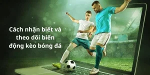 Cách nhận biết và theo dõi biến động kèo bóng đá